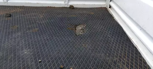 Yol inşaatı sırasında yapılan patlatmada facianın eşiğinden dönüldü: 2 yaralı