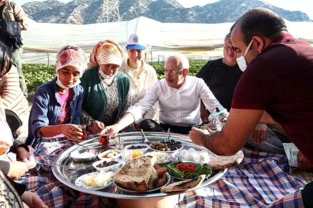 CHP Genel Başkanı Kılıçdaroğlu, Aydın'da çilek hasadına katıldı