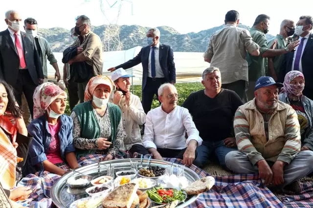 CHP Genel Başkanı Kılıçdaroğlu, Aydın'da çilek hasadına katıldı