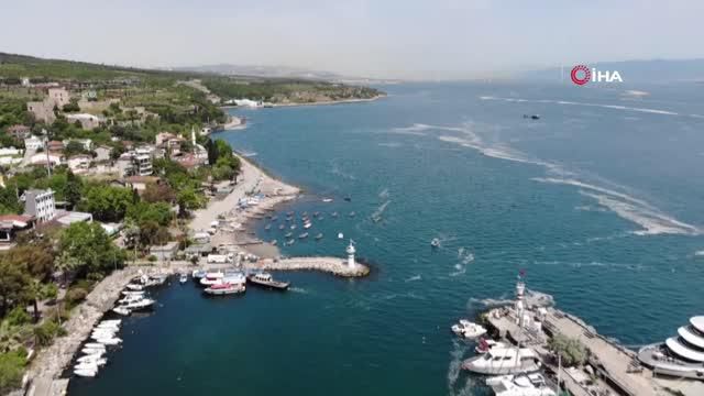 deniz salyasi aglari duman etti 14175345 o