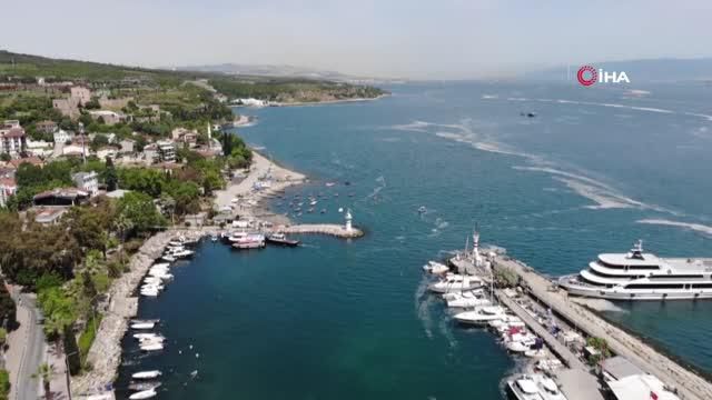 deniz salyasi aglari duman etti 2 14175345 o