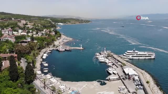 deniz salyasi aglari duman etti 3 14175345 o