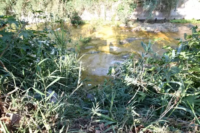 Dere yatağına düşen kişiyi kurtarma seferberliği Dere yatağına düşen kişiyi kurtarma seferberliği