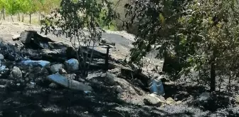 Ağın: Son dakika haberleri! Elazığ'da çıkan yangında mera, bahçe ve üzüm bağı zarar gördü Ağın: Son dakika haberleri! Elazığ'da çıkan yangında mera, bahçe ve üzüm bağı zarar gördü