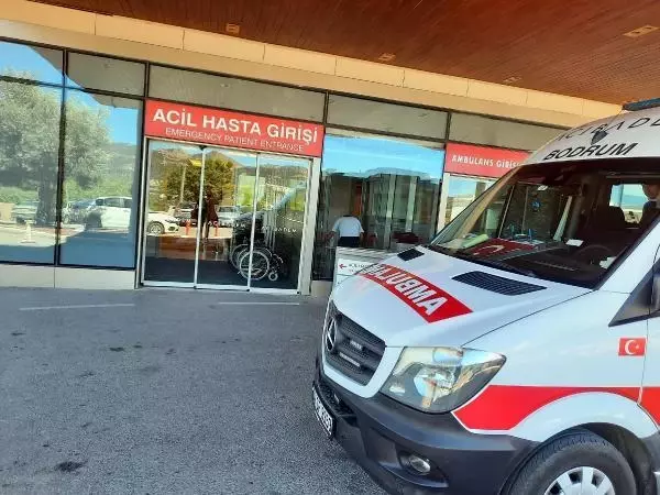 Hasan Saltık, İstanbul'da toprağa verilecek