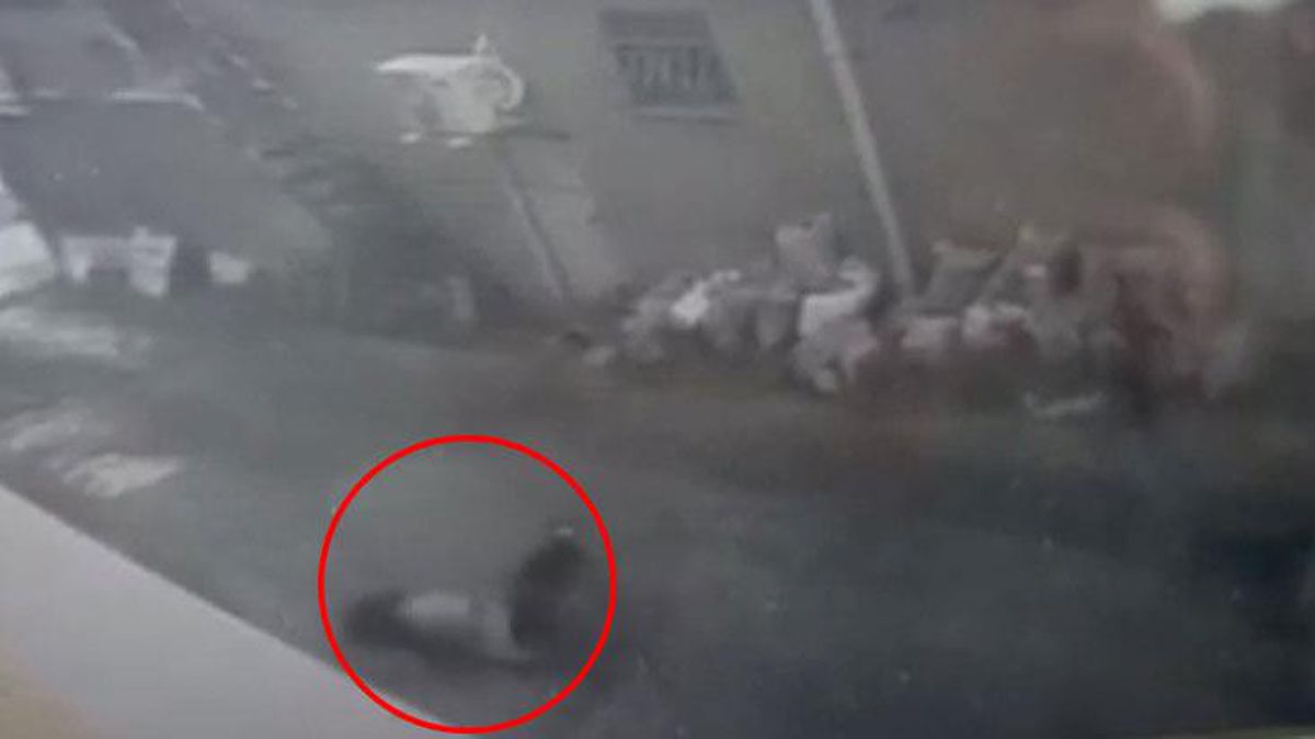 İş yerinde arkadaşlarıyla sohbet eden genç kız camdan aşağı düştü! O anlar kamerada