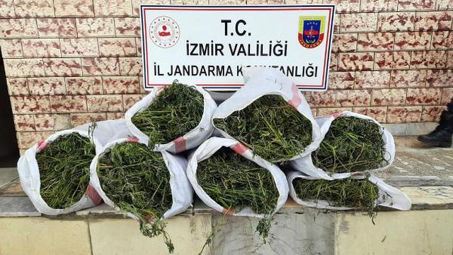 Son dakika haberi: İzmir'de uyuşturucu operasyonu: 6 gözaltı
