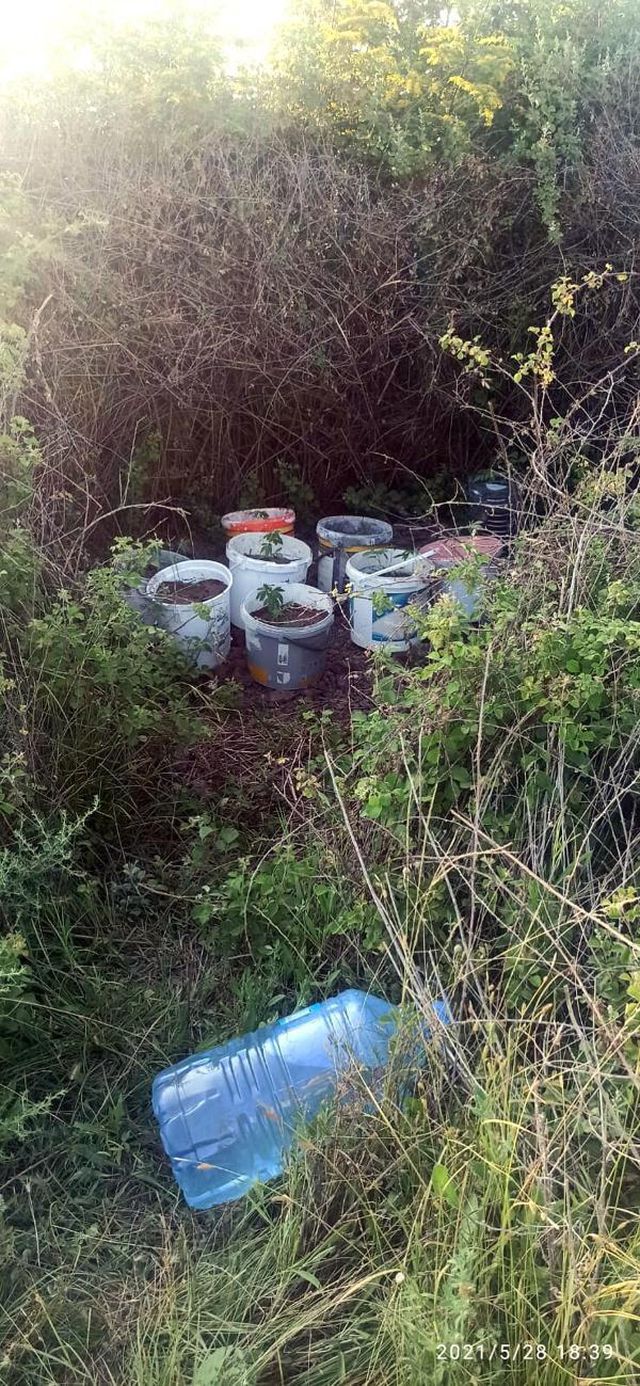 Son dakika haberi: İzmir'de uyuşturucu operasyonu: 6 gözaltı
