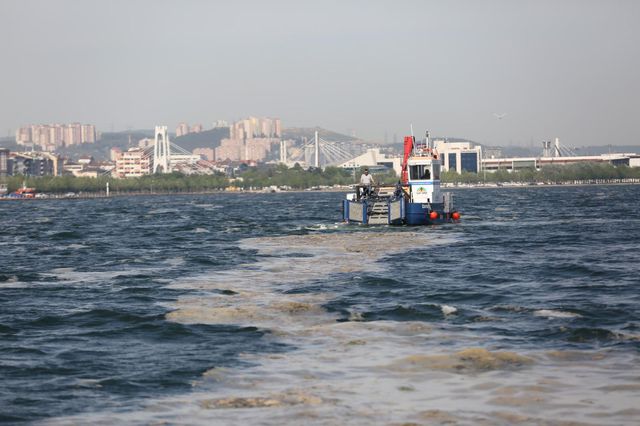 izmit korfezi nden 2 ayda 150 ton deniz salya 2 14175801 o