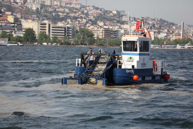 izmit korfezi nden 2 ayda 150 ton deniz salya 3 14175801 o