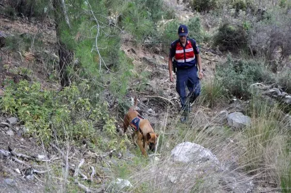 Kayıp kampçıyı arama çalışmaları 11'inci gününde