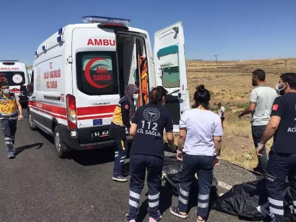 ŞANLIURFA OTOMOBİL KÖPRÜDEN DEREYE UÇTU: 5 ÖLÜ - YENİDEN