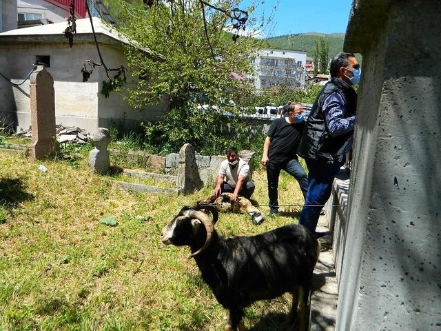 Posof'ta yağmur duası edildi kurban kesildi Posof'ta yağmur duası edildi kurban kesildi