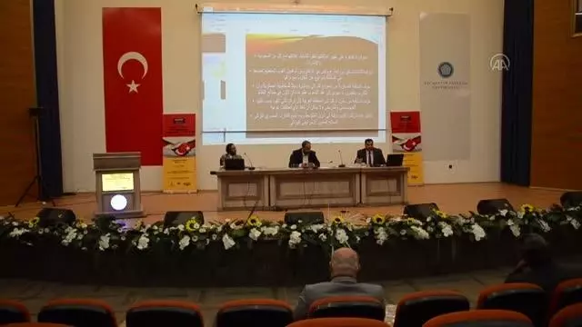 Türkiye-Mısır yakınlaşması 'Fırsatlar ve Tehditler Çalıştayı'nda konuşuldu