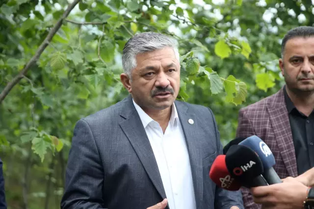 TZOB üyeleri dolu yağışının ardından fındık bahçelerinde inceleme yaptı