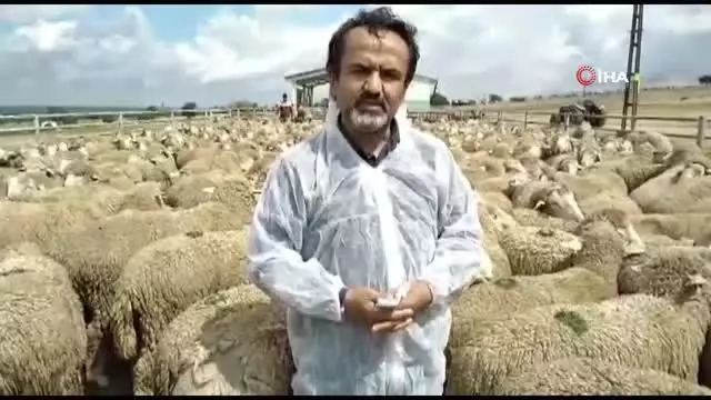 6 ihtiyaç sahibi aile koyun projesi ile köyüne döndü