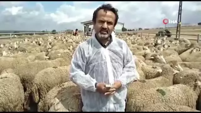 6 ihtiyaç sahibi aile koyun projesi ile köyüne döndü