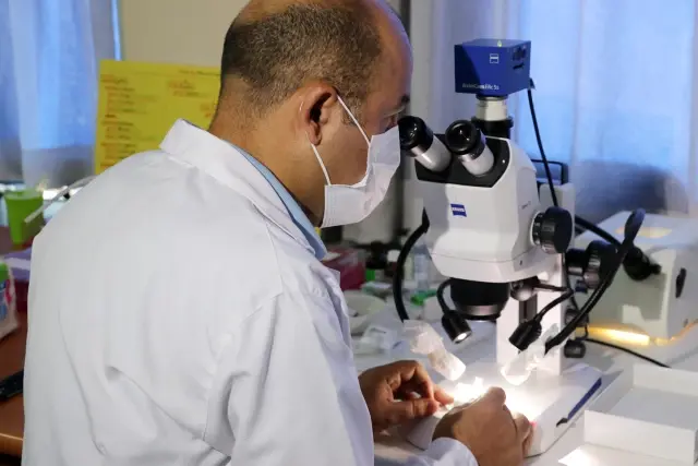 Newly discovered beneficial insect species in Anatolia will be named after Aziz Sancar Newly discovered beneficial insect species in Anatolia will be named after Aziz Sancar