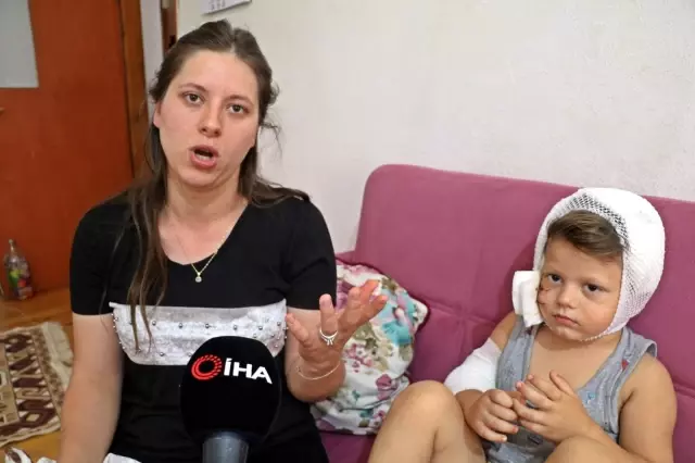 Köpek saldırısına uğrayan 3,5 yaşındaki çocuktan yürek burkan sözler: Sevmek istedim ama sevemedim...