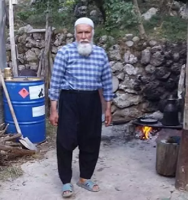 Budamak için çıktığı ağaçtan düşüp öldü Budamak için çıktığı ağaçtan düşüp öldü