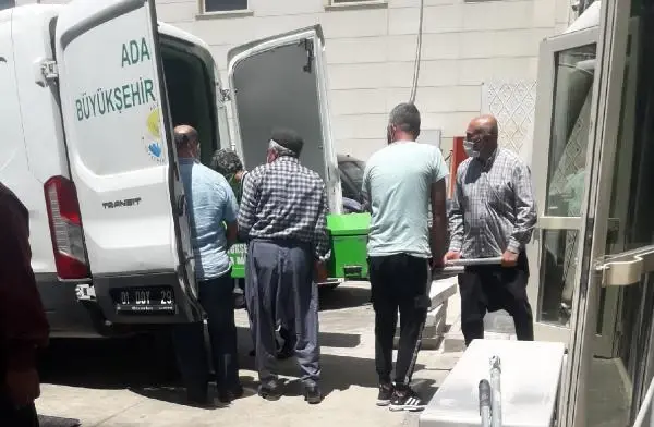 Budamak için çıktığı ağaçtan düşüp öldü