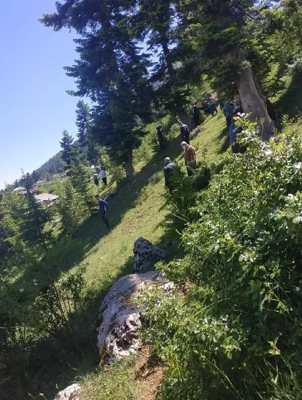 Budamak için çıktığı ağaçtan düşüp öldü