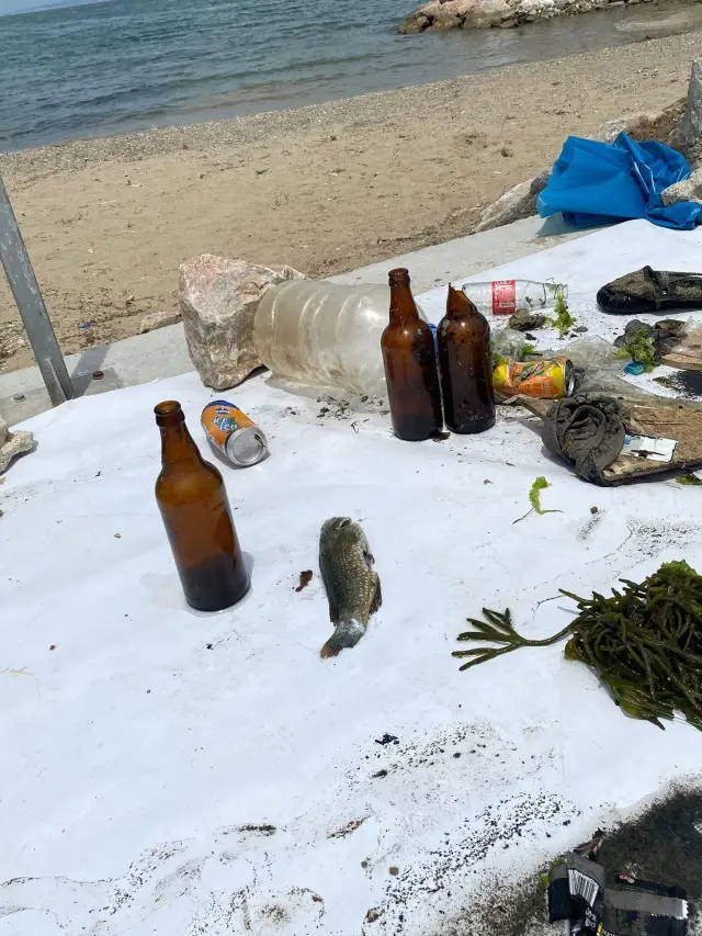 Bursa'da ilginç çevre eylemi...Denizden çıkardıklarıyla ahtapot yaptılar