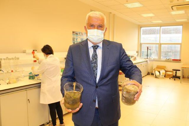 gebze teknik universitesi nden musilaj icin 13 14177826 o