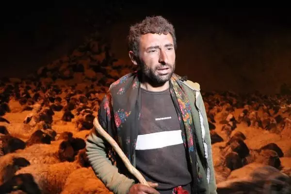 Hakkari-Van yolunda polis eskortluğunda 10 bin koyun geçişi