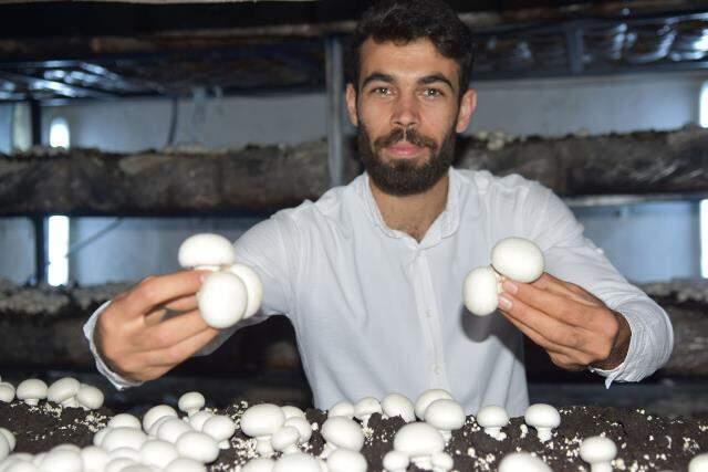 Hobi olarak başladığı kültür mantarı yetiştiriciliğinde siparişlere yetişemiyor