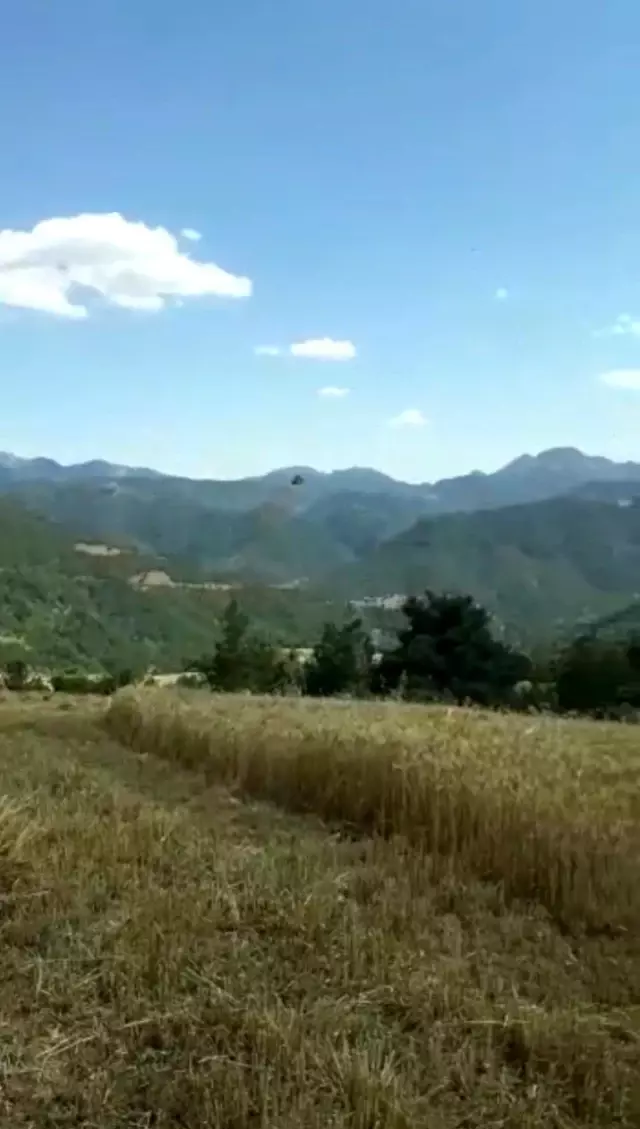 Hortum ekinlere zarar verdi Hortum ekinlere zarar verdi