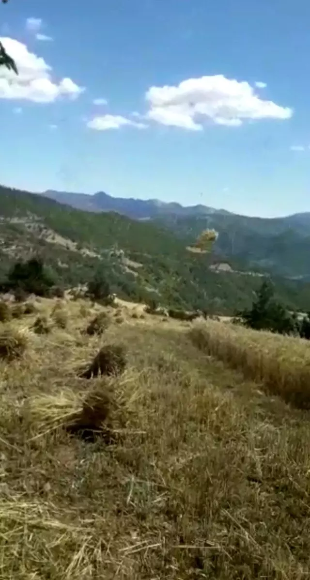 Hortum ekinlere zarar verdi Hortum ekinlere zarar verdi