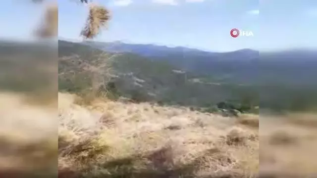 Hortum ekinlere zarar verdi Hortum ekinlere zarar verdi