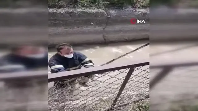 Son dakika haberi | Irmakta boğulmak üzere olan yavru köpeği itfaiye kurtardı Son dakika haberi | Irmakta boğulmak üzere olan yavru köpeği itfaiye kurtardı