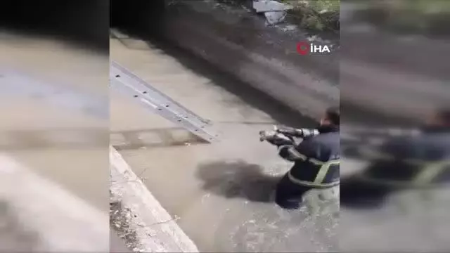 Son dakika haberi | Irmakta boğulmak üzere olan yavru köpeği itfaiye kurtardı Son dakika haberi | Irmakta boğulmak üzere olan yavru köpeği itfaiye kurtardı