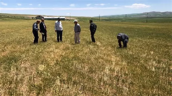 Kars'ta 517 camide yağmur duası