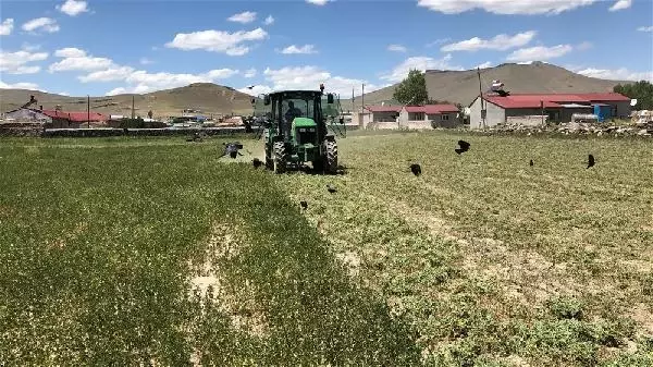 Kars'ta 517 camide yağmur duası