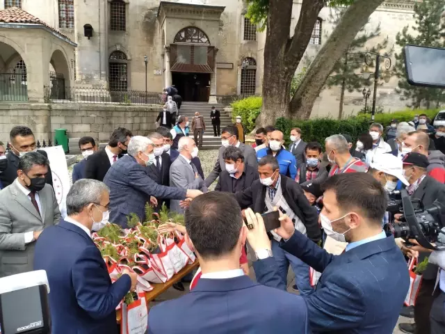 Kütahya'da Dünya Çevre Günü nedeniyle vatandaşlara fidan dağıtıldı