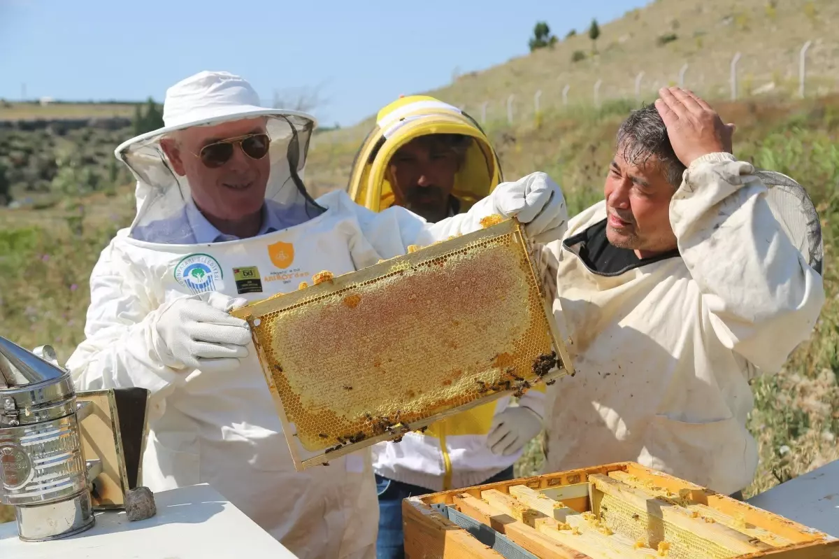 Odunpazarı Belediyesi çevreci uygulamaları ile örnek oluyor