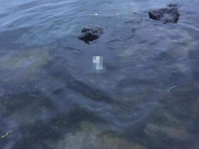 Samsun'da denizde cenin bulundu