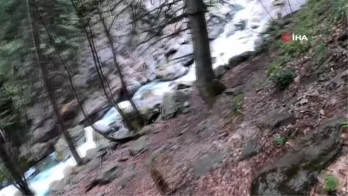 Tozluyan Şelalesi büyülüyor