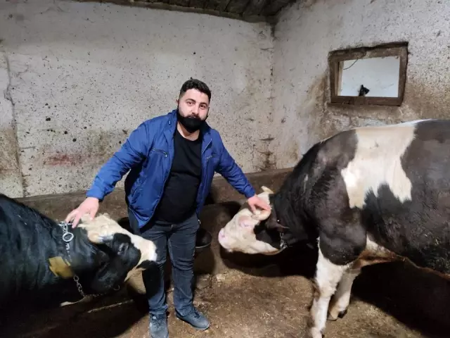 Vatandaşların değnekle kurban pazarlığı Vatandaşların değnekle kurban pazarlığı