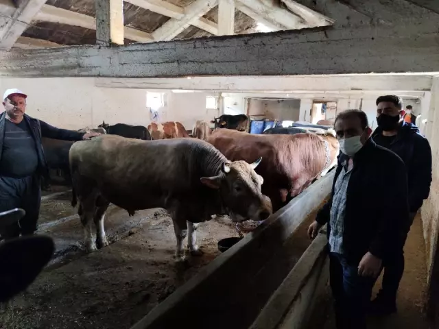 Vatandaşların değnekle kurban pazarlığı Vatandaşların değnekle kurban pazarlığı