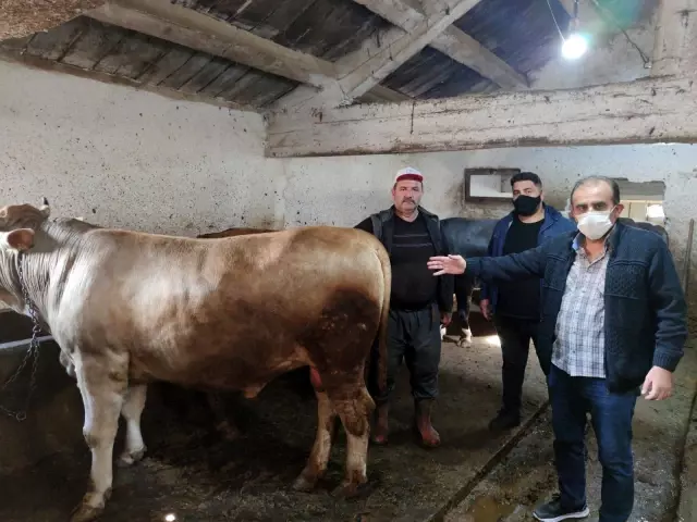 Vatandaşların değnekle kurban pazarlığı Vatandaşların değnekle kurban pazarlığı