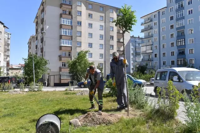 Yakutiye Belediyesi yaz sezonunda asfaltlama ile park, bahçe bakımına hız verdi