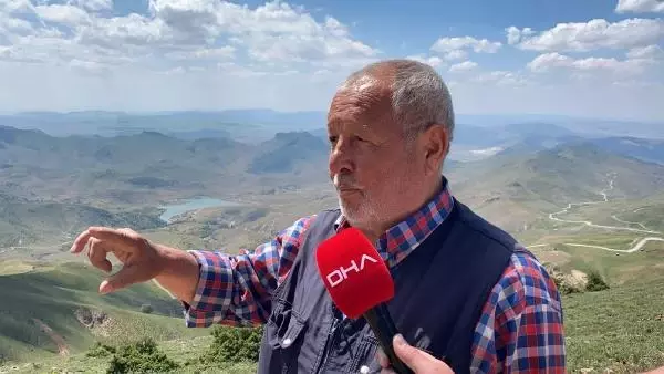 Yılkı atları, 2 bin 300 rakımlı yaylada dronla görüntülendi Yılkı atları, 2 bin 300 rakımlı yaylada dronla görüntülendi