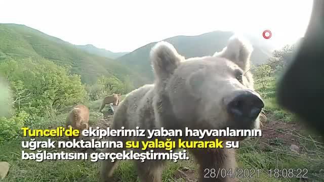 Son dakika haber... Bakan Pakdemirli'den su yalağında oynayan ayılarla ilgili 'Halinden memnun' paylaşımı Son dakika haber... Bakan Pakdemirli'den su yalağında oynayan ayılarla ilgili 'Halinden memnun' paylaşımı