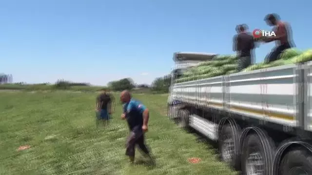 Dev karpuzlarla idman yapıp dünya şampiyonasına hazırlanıyor Dev karpuzlarla idman yapıp dünya şampiyonasına hazırlanıyor