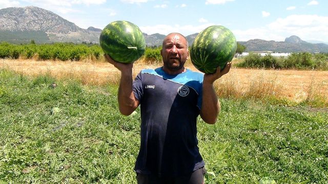 Karpuz tarlasında dünya şampiyonu olmaya hazırlanıyor