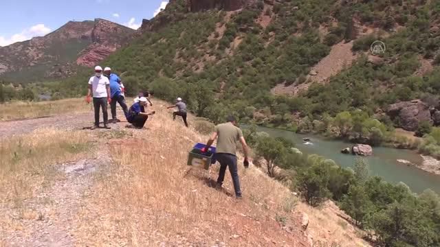 Doğu Anadolu'da '5 Haziran Dünya Çevre Günü' etkinlikleri Doğu Anadolu'da '5 Haziran Dünya Çevre Günü' etkinlikleri